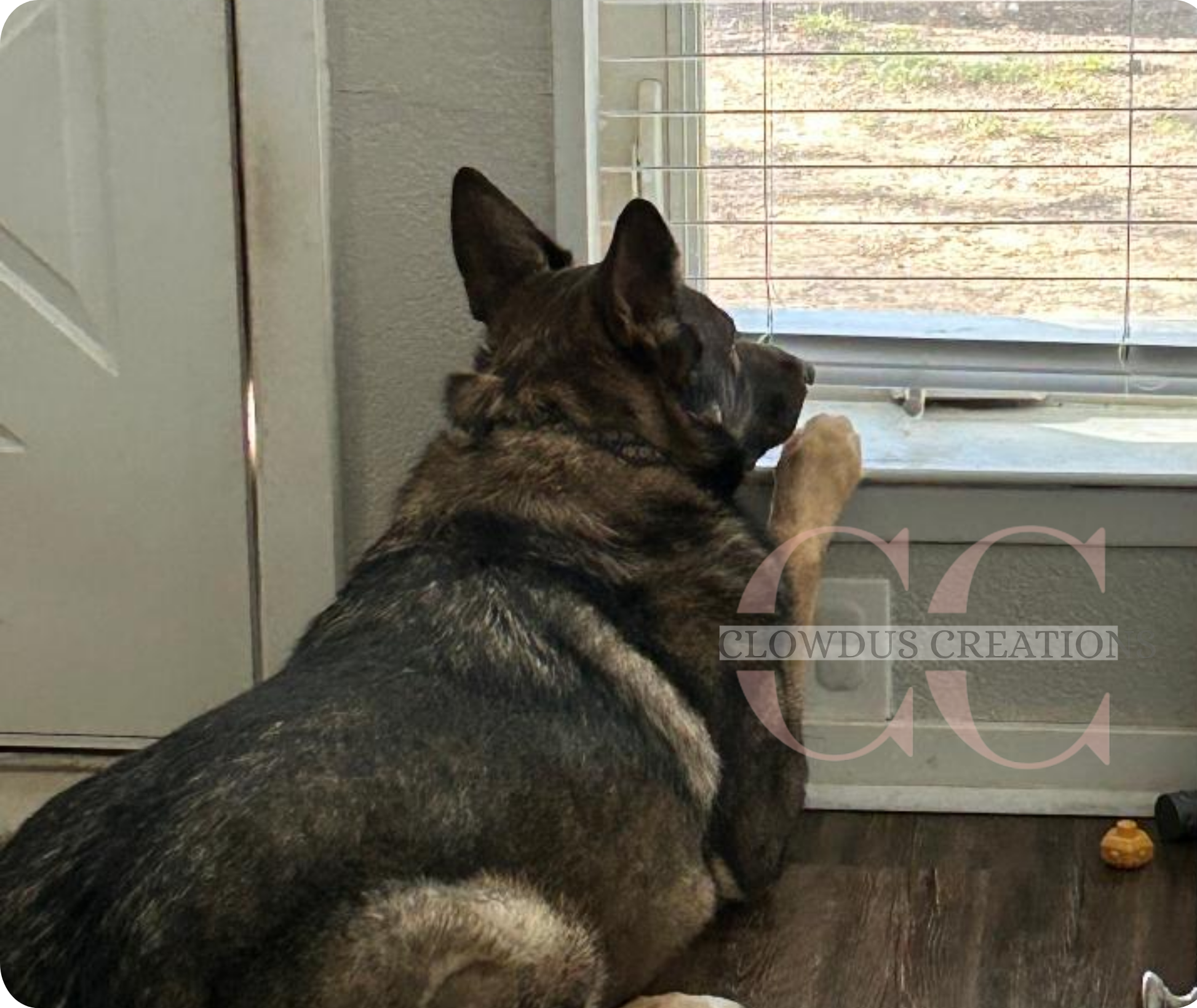 Custom Image Mouse Pad